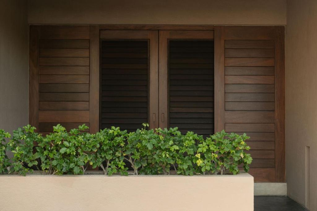 Lo Sereno Casa De Playa Troncones Esterno foto