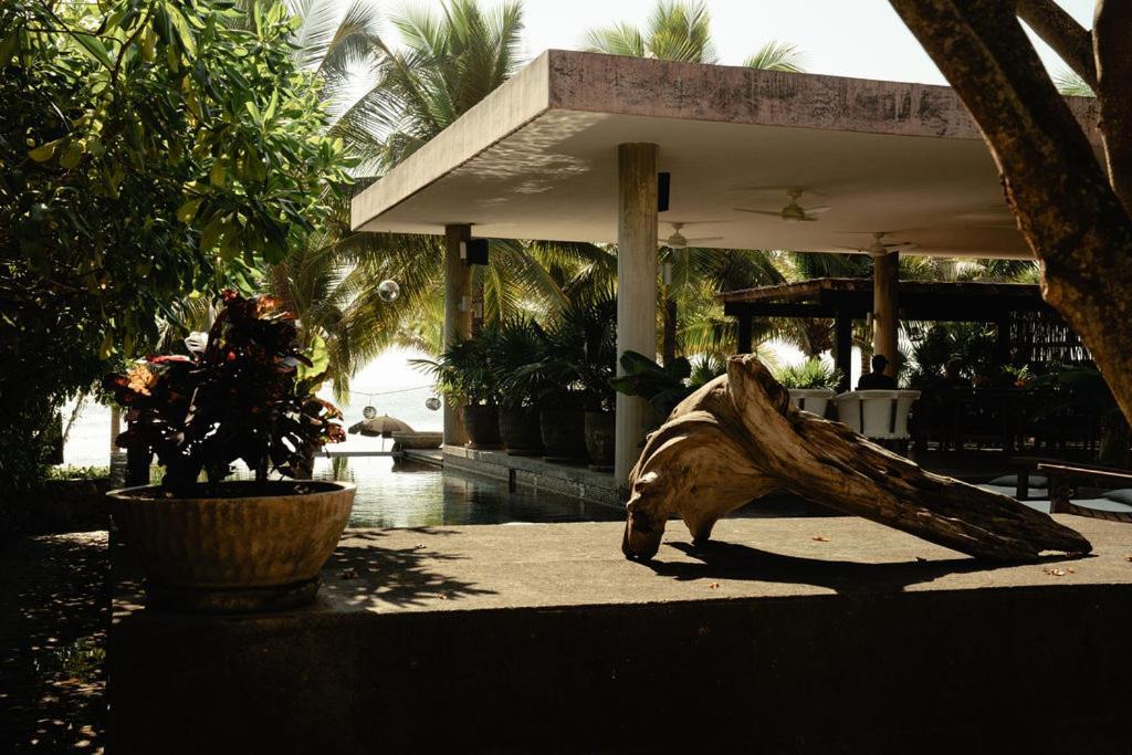 Lo Sereno Casa De Playa Troncones Esterno foto
